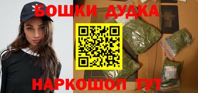 гидра Краснознаменск