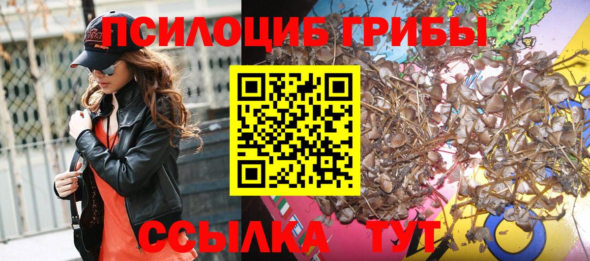 Псилоцибиновые грибы прущие грибы  купить   Качканар  Вход с VPN 