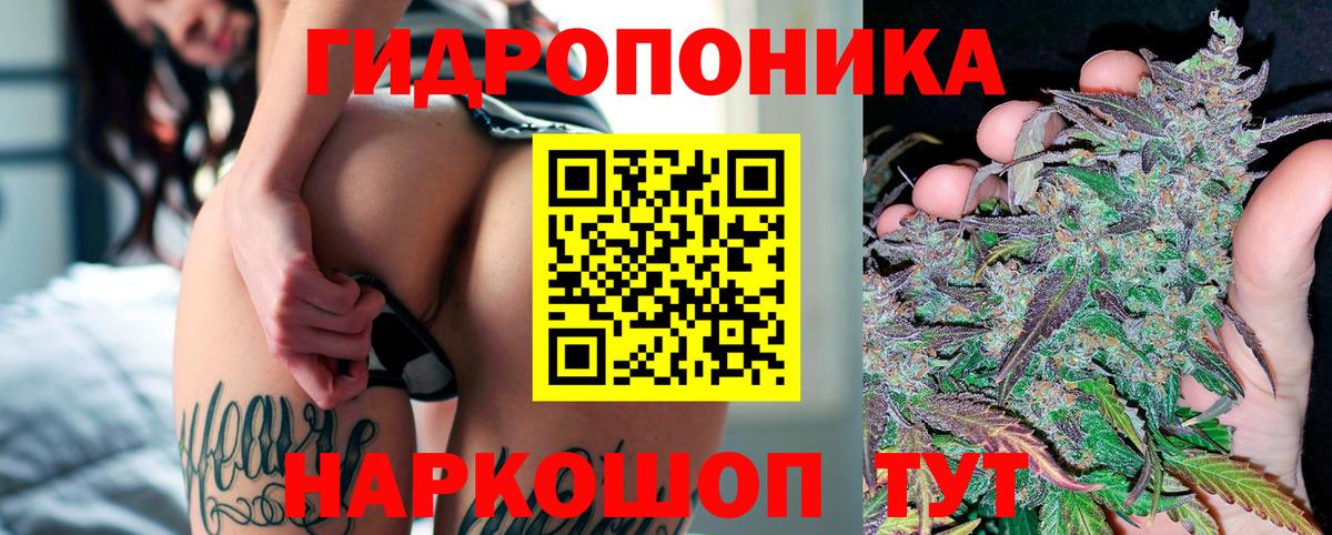 Каннабис Ganja  Вход с VPN  Канабис план  Марихуана THC 21%  Качканар 